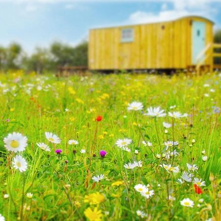 Honeysuckle Farm Holidays By Stay In Suffolk, Monk Soham Woodbridge Bagian luar foto