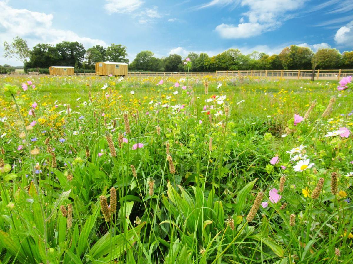 Honeysuckle Farm Holidays By Stay In Suffolk, Monk Soham Woodbridge Bagian luar foto