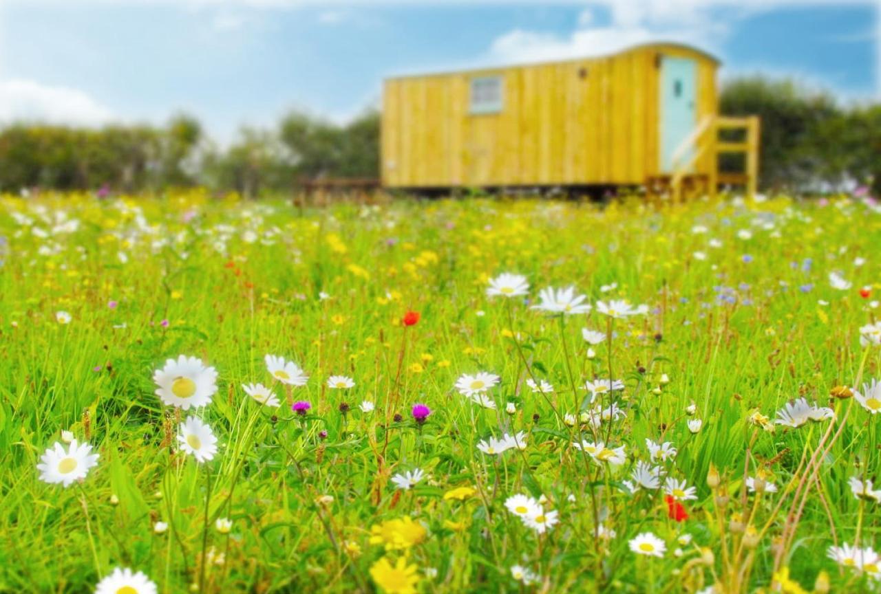 Honeysuckle Farm Holidays By Stay In Suffolk, Monk Soham Woodbridge Bagian luar foto